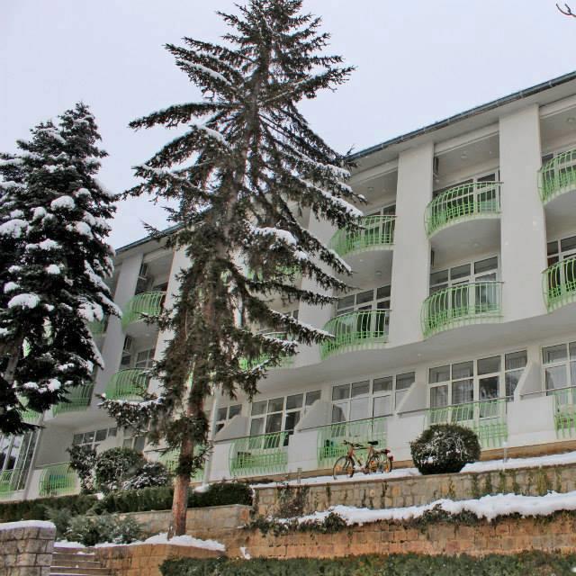Hotel Klimetica Ohrid Exterior foto
